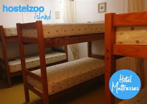 фото отеля Hostelzoo Island Eco Backpackers