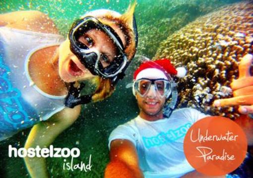 фото отеля Hostelzoo Island Eco Backpackers