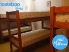 фото отеля Hostelzoo Island Eco Backpackers