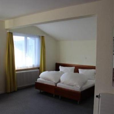фото отеля Hotel zum Roten Lowen
