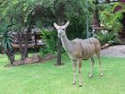 фото отеля Grand Kruger Lodge