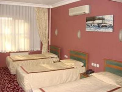 фото отеля Hotel Grand Arslan