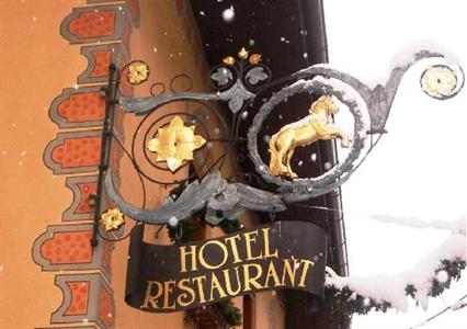 фото отеля Hotel Cavallino D'Oro