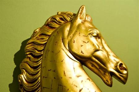 фото отеля Hotel Cavallino D'Oro