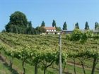 фото отеля Three Choirs Vineyards