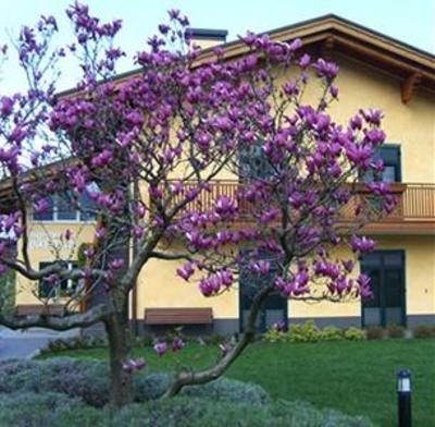 фото отеля Agritur Val d'Adige