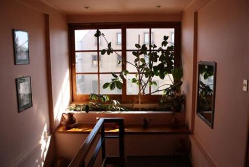фото отеля Hotel Curapalihue