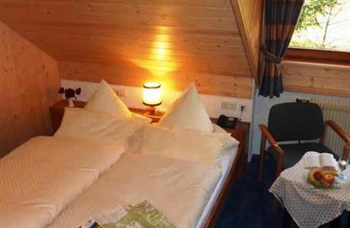 фото отеля Akzent Hotel Lawine Todtnau