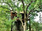 фото отеля Tree House Hideaway