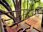 фото отеля Tree House Hideaway