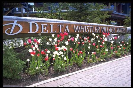 фото отеля Delta Whistler Village Suites