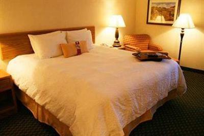 фото отеля Hampton Inn Jackson (Michigan)