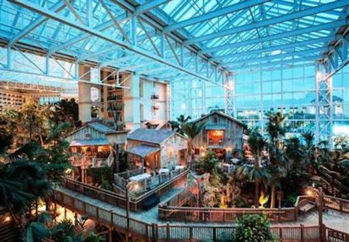 фото отеля Gaylord Palms Resort & Convention Center