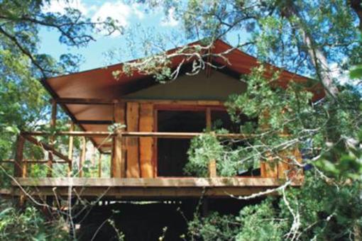 фото отеля Addo Elephant Back Safaris and Lodge