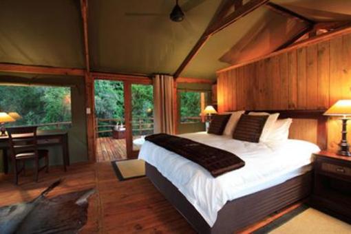 фото отеля Addo Elephant Back Safaris and Lodge