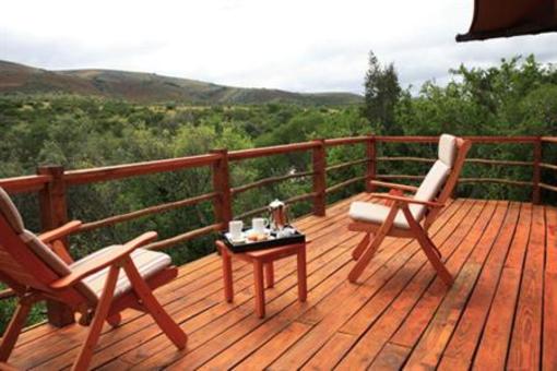 фото отеля Addo Elephant Back Safaris and Lodge