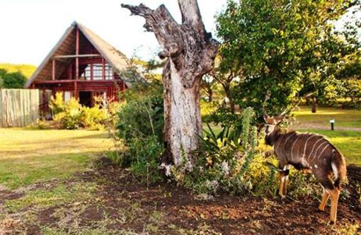 фото отеля Rhino River Lodge