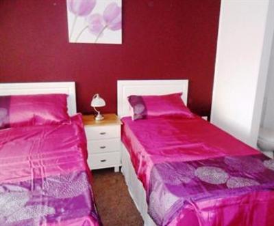 фото отеля Crazy Gull B&B