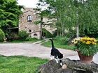 фото отеля Il Molendino Bed & Breakfast Calci