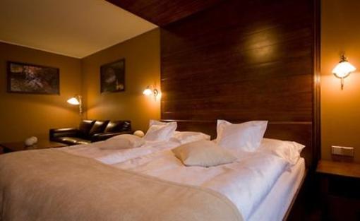 фото отеля Wellness Hotel Borovica