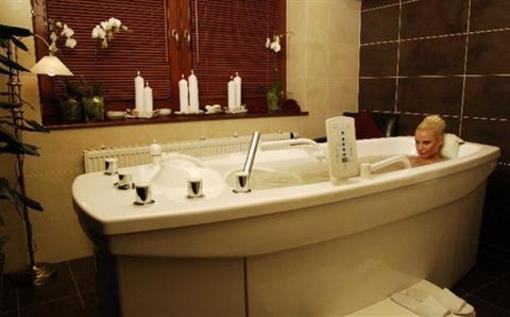 фото отеля Wellness Hotel Borovica