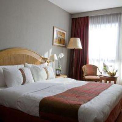 фото отеля Holiday Inn Nice
