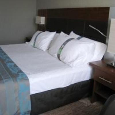 фото отеля Holiday Inn Nice