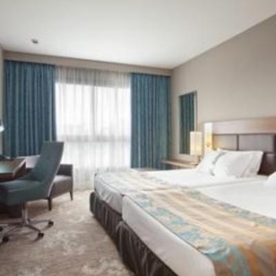 фото отеля Holiday Inn Nice