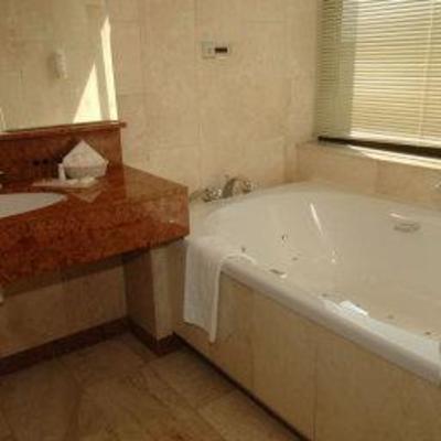 фото отеля Holiday Inn Nice
