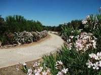 Agriturismo Rocce Bianche