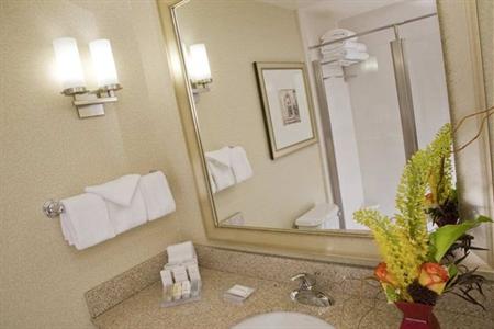 фото отеля Hilton Garden Inn Minneapolis Downtown