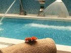 фото отеля Holiday Inn Porto Gaia