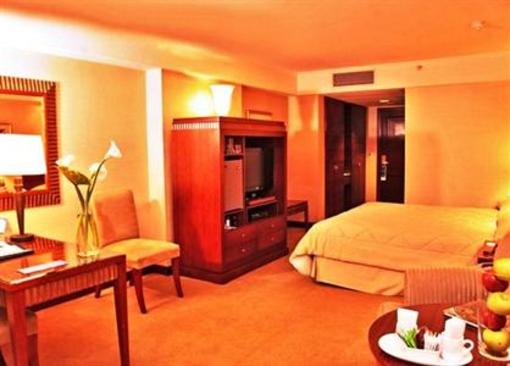 фото отеля Melia Buenos Aires Hotel