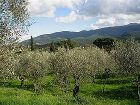 фото отеля Antica Fonte Residenza di Siena