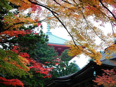 фото отеля Granvia Wakayama Hotel