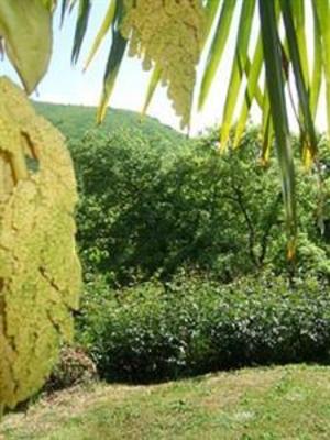 фото отеля La Chiesuola Bed & Breakfast Viterbo