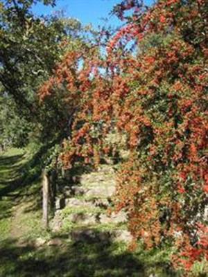 фото отеля La Chiesuola Bed & Breakfast Viterbo