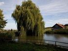 фото отеля Landhotel Garni Engelhard Kirchheim am Ries