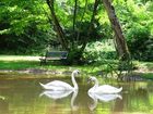 фото отеля La Reserve au Pavillon du Chateau Raba