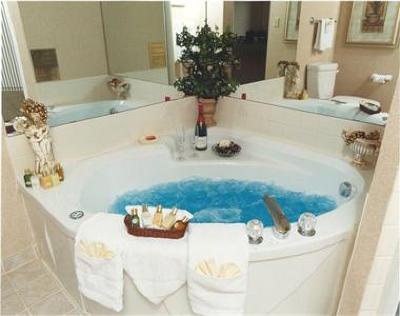 фото отеля Holiday Inn Select Hotel & Suites Kanata Ottawa