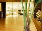 фото отеля Daniya Alicante