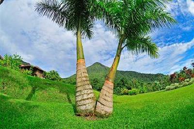 фото отеля Hotel Lomas Del Volcan La Fortuna