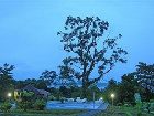 фото отеля Hotel Lomas Del Volcan La Fortuna