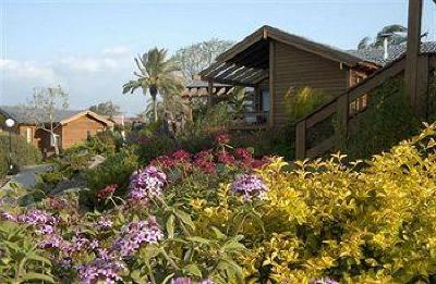 фото отеля Ramot Holiday Village Resort