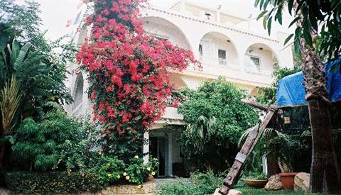 фото отеля Hotel Simius Playa