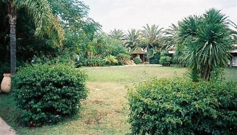 фото отеля Hotel Simius Playa