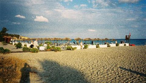 фото отеля Hotel Simius Playa