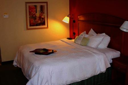 фото отеля Hampton Inn Ellenton