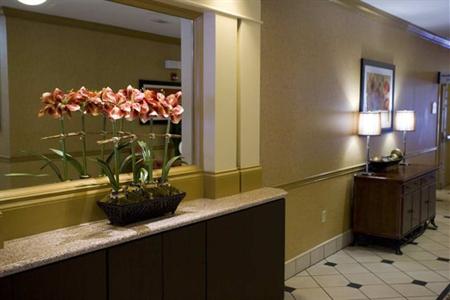 фото отеля Hilton Garden Inn Chattanooga Downtown
