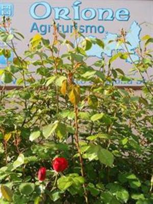 фото отеля Agriturismo Orione